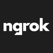 ngrok 网络连接工具品牌图标